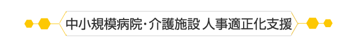 中小規模病院・介護施設 人事適正化支援