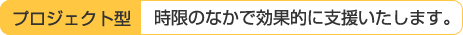 プロジェクト型：時限のなかで効果的に支援いたします。