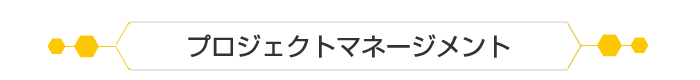 プロジェクトマネージメント